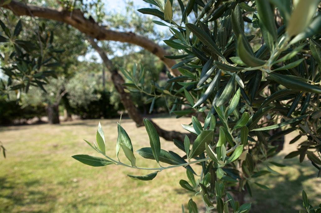 La Molara