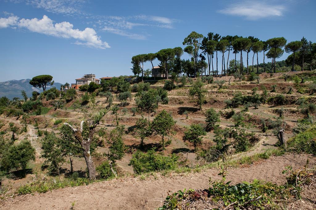 La Molara Farm stay Sessa Aurunca